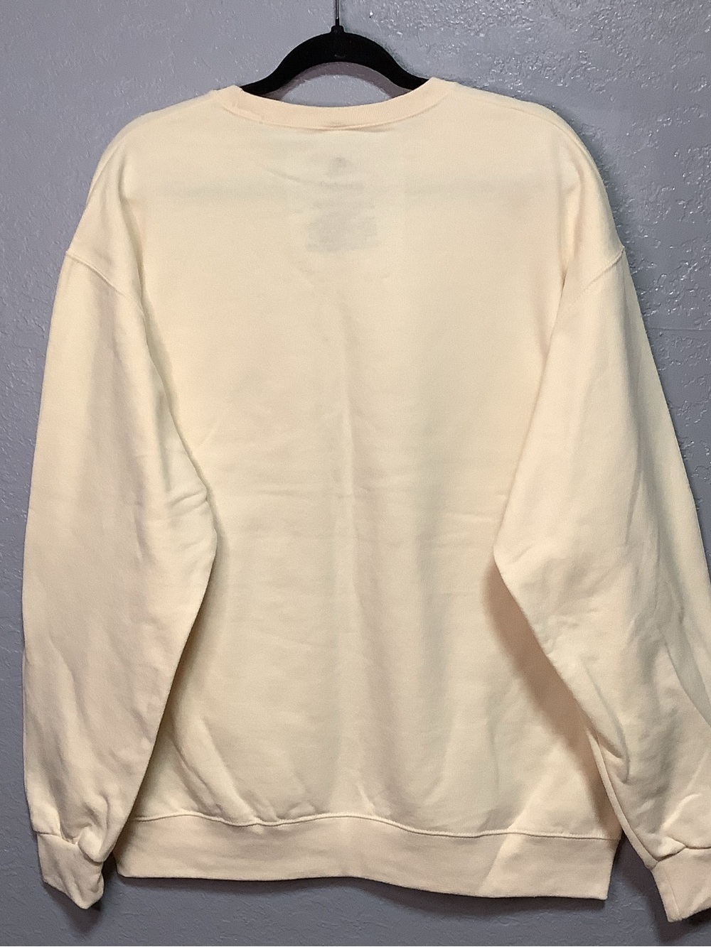 Disneyland Resort ~ Halloween ~ Pumpkin Spice & Everything Nice ~ Sweatshirt M-L - Picture 7 of 16